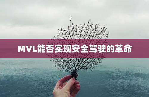 MVL能否实现安全驾驶的革命