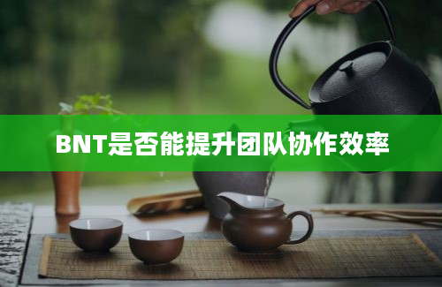 BNT是否能提升团队协作效率