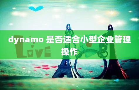 dynamo 是否适合小型企业管理操作