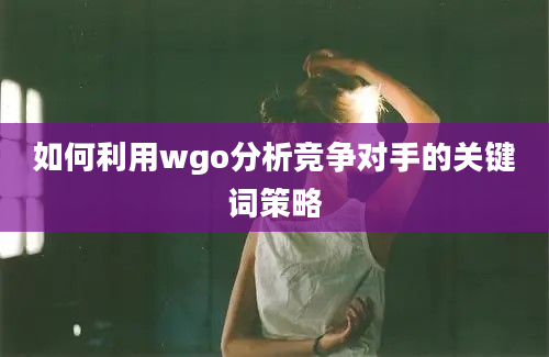 如何利用wgo分析竞争对手的关键词策略