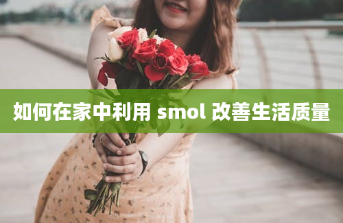 如何在家中利用 smol 改善生活质量