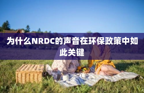 为什么NRDC的声音在环保政策中如此关键