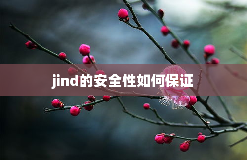 jind的安全性如何保证