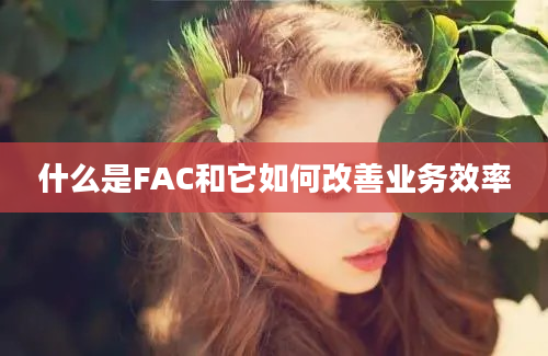 什么是FAC和它如何改善业务效率