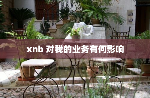 xnb 对我的业务有何影响