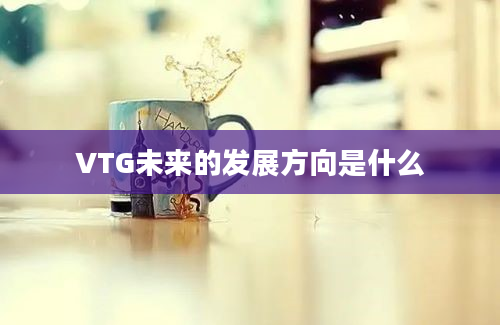 VTG未来的发展方向是什么