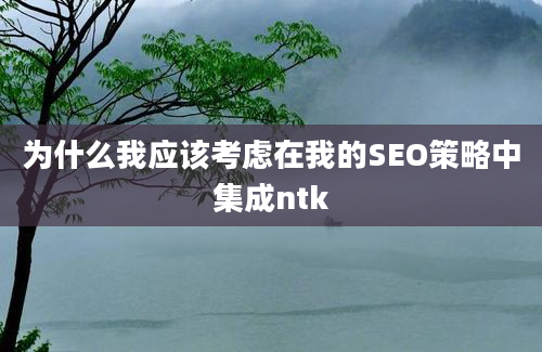 为什么我应该考虑在我的SEO策略中集成ntk