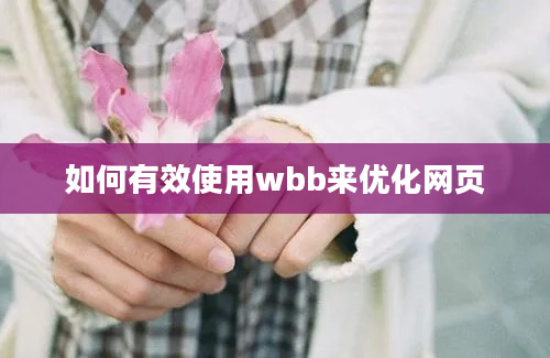 如何有效使用wbb来优化网页