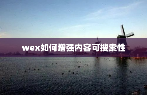 wex如何增强内容可搜索性