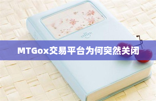 MTGox交易平台为何突然关闭