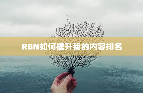 RBN如何提升我的内容排名