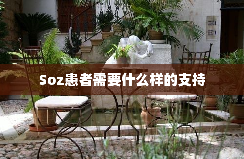 Soz患者需要什么样的支持