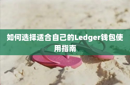 如何选择适合自己的Ledger钱包使用指南