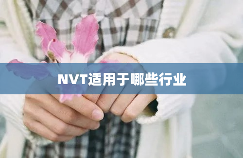 NVT适用于哪些行业