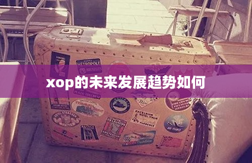 xop的未来发展趋势如何