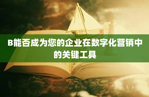 B能否成为您的企业在数字化营销中的关键工具