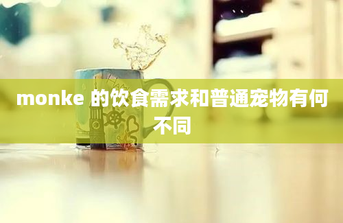 monke 的饮食需求和普通宠物有何不同