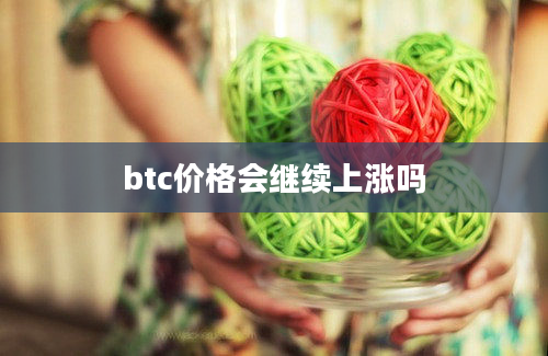 btc价格会继续上涨吗