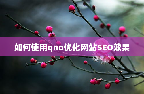 如何使用qno优化网站SEO效果