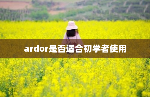 ardor是否适合初学者使用