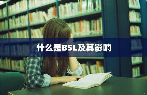 什么是BSL及其影响