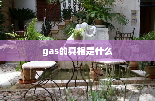 gas的真相是什么