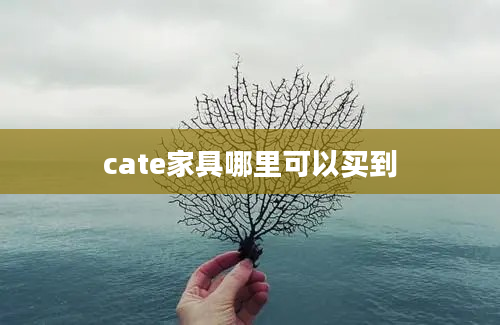 cate家具哪里可以买到