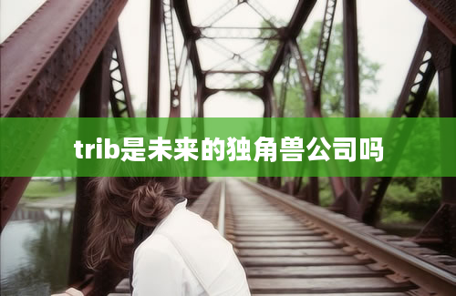 trib是未来的独角兽公司吗