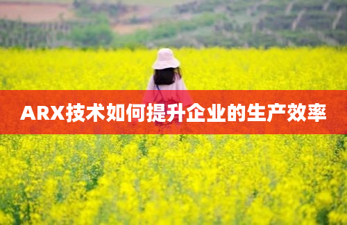 ARX技术如何提升企业的生产效率