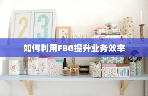 如何利用FBG提升业务效率