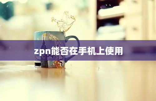 zpn能否在手机上使用