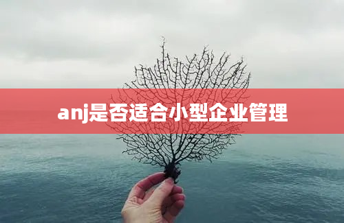 anj是否适合小型企业管理