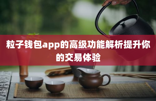 粒子钱包app的高级功能解析提升你的交易体验