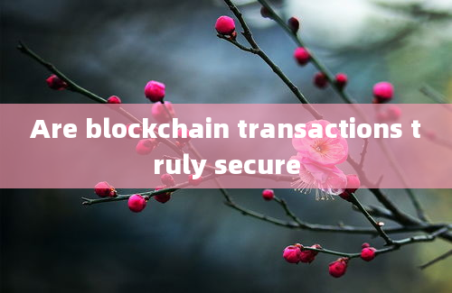 Are blockchain transactions truly secure