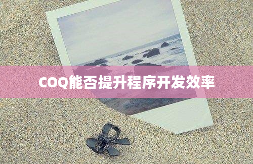 COQ能否提升程序开发效率