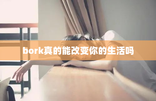 bork真的能改变你的生活吗