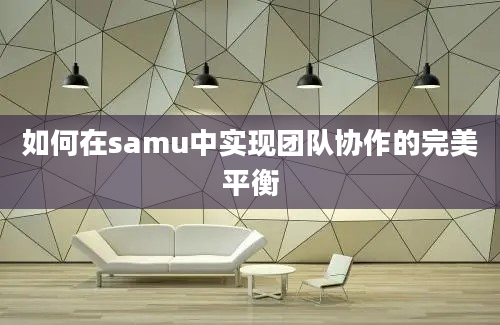 如何在samu中实现团队协作的完美平衡