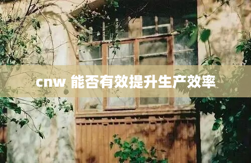 cnw 能否有效提升生产效率