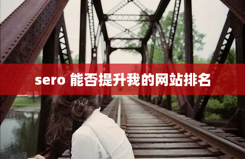 sero 能否提升我的网站排名