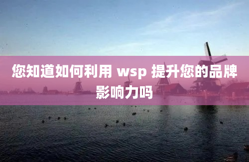 您知道如何利用 wsp 提升您的品牌影响力吗