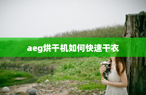 aeg烘干机如何快速干衣