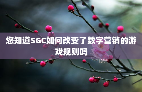 您知道SGC如何改变了数字营销的游戏规则吗