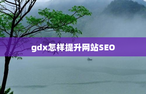 gdx怎样提升网站SEO