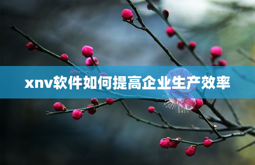 xnv软件如何提高企业生产效率