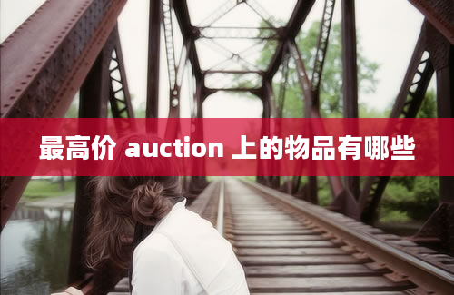 最高价 auction 上的物品有哪些