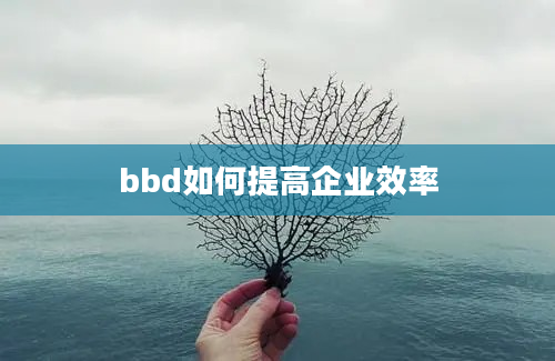 bbd如何提高企业效率