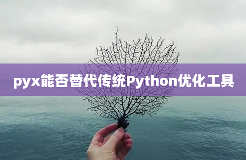 pyx能否替代传统Python优化工具