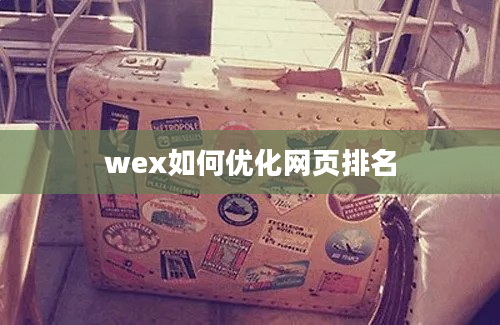 wex如何优化网页排名