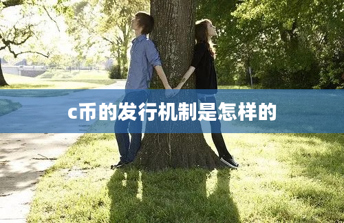 c币的发行机制是怎样的