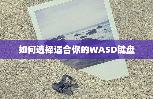 如何选择适合你的WASD键盘